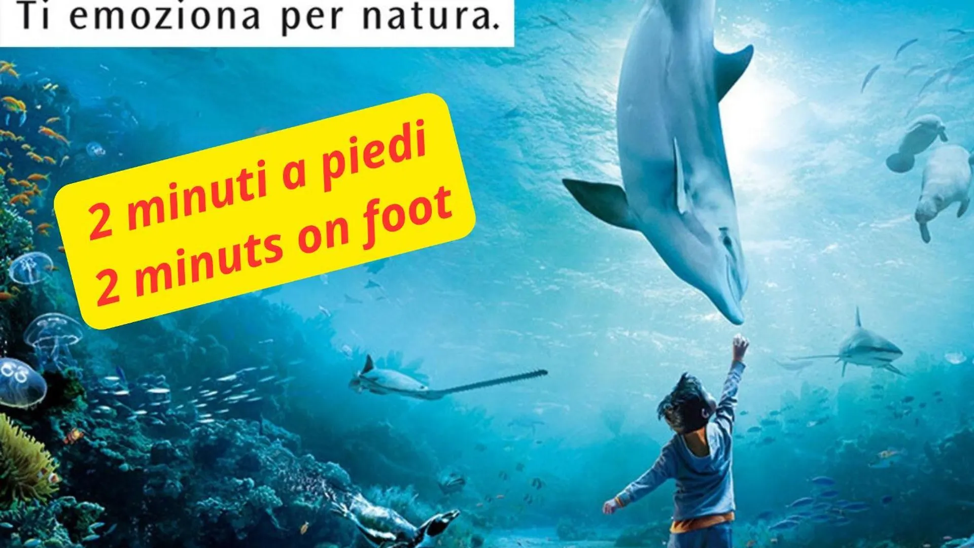 2 Minuti Da Acquario - Casa San Giorgio 